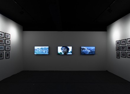 Tran Luong